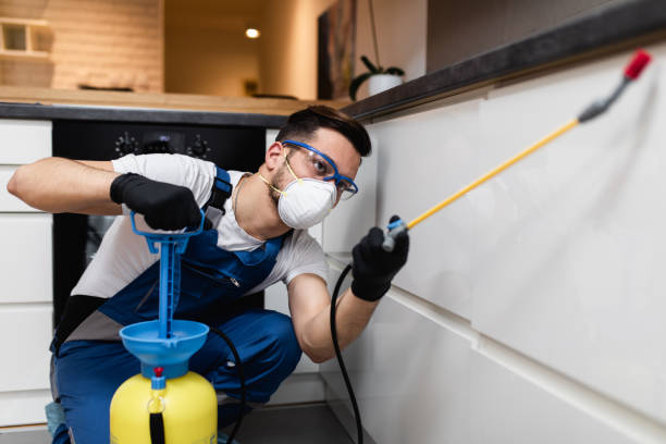 Best Local Pest Control Services  in North Oaks, MN