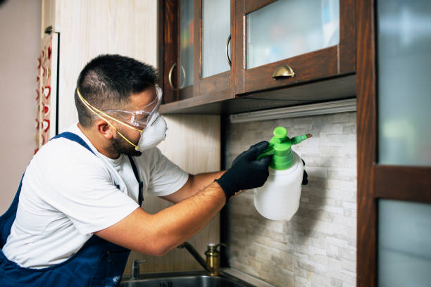 Pest Prevention Services in North Oaks, MN