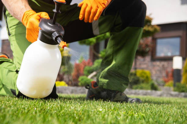 Best Best Pest Control Companies  in North Oaks, MN