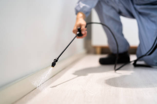 Flea Control Services in North Oaks, MN