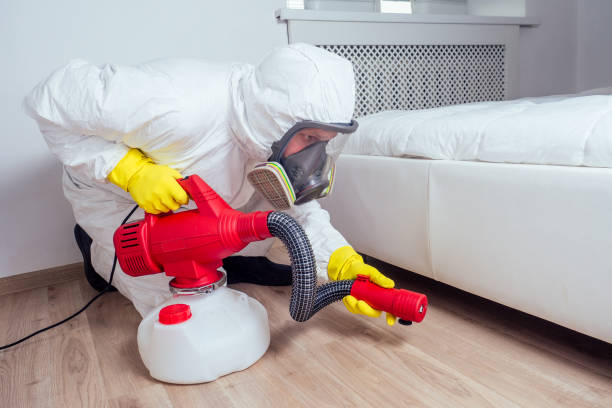 Best Flea Control Services  in North Oaks, MN