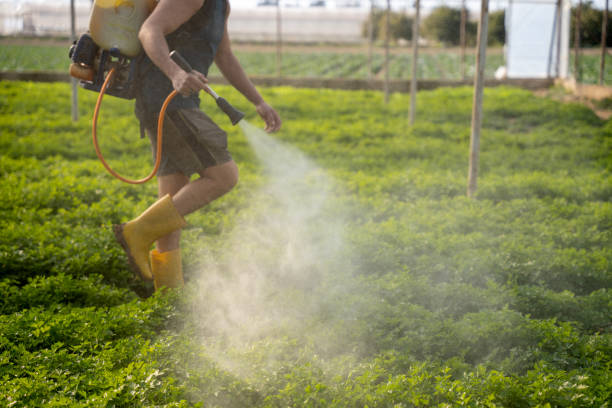 Best Best Pest Control Companies  in North Oaks, MN
