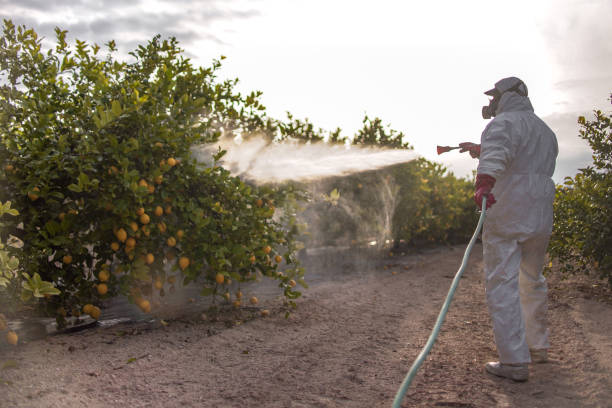 Best Cockroach Control Services  in North Oaks, MN