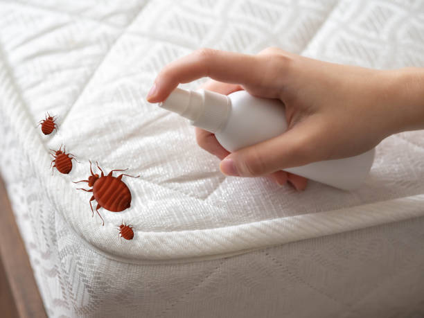 Best Flea Control Services  in North Oaks, MN