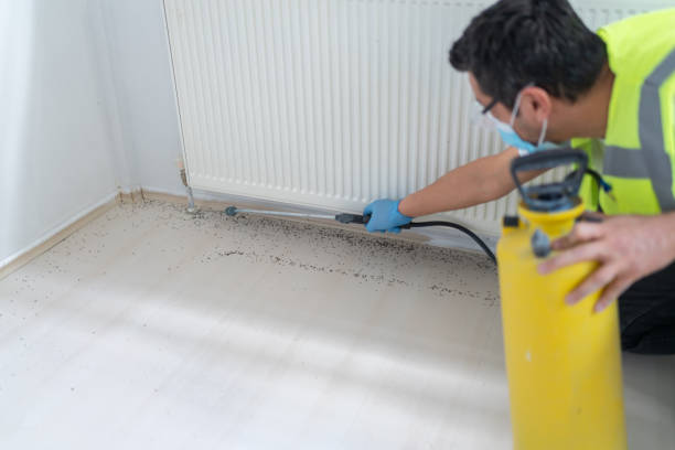 Pest Prevention Services in North Oaks, MN