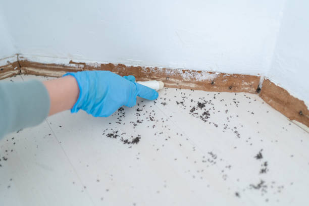 Best Bed Bug Extermination  in North Oaks, MN