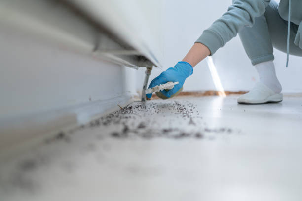 Best Pest Removal Services  in North Oaks, MN