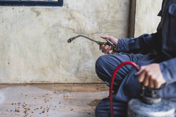 Pest Control for Restaurants in North Oaks, MN