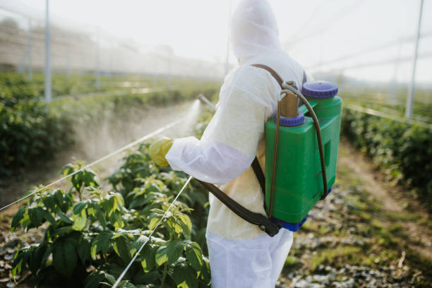 Best Pest Control Near Me  in North Oaks, MN